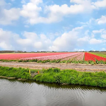 Cozy Holiday Home In Sint Maartensvlotbrug With A Garden بيت للعطل Sint Maartensvlotbrug